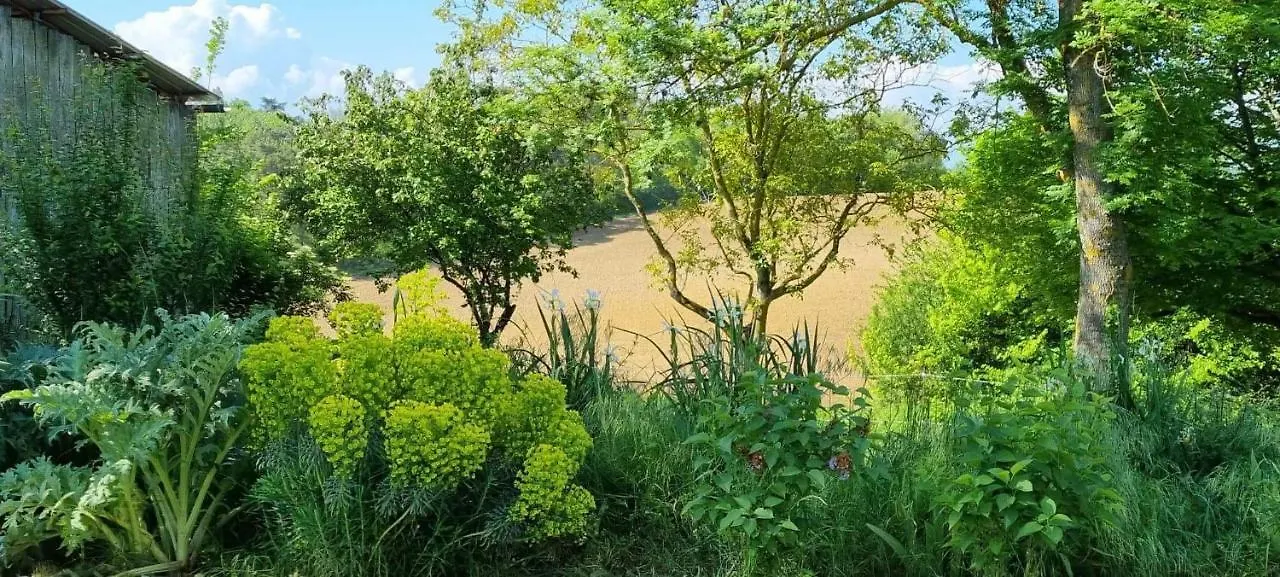 Holiday home Gite Des Ecuries De La Paguere Aurignac  France